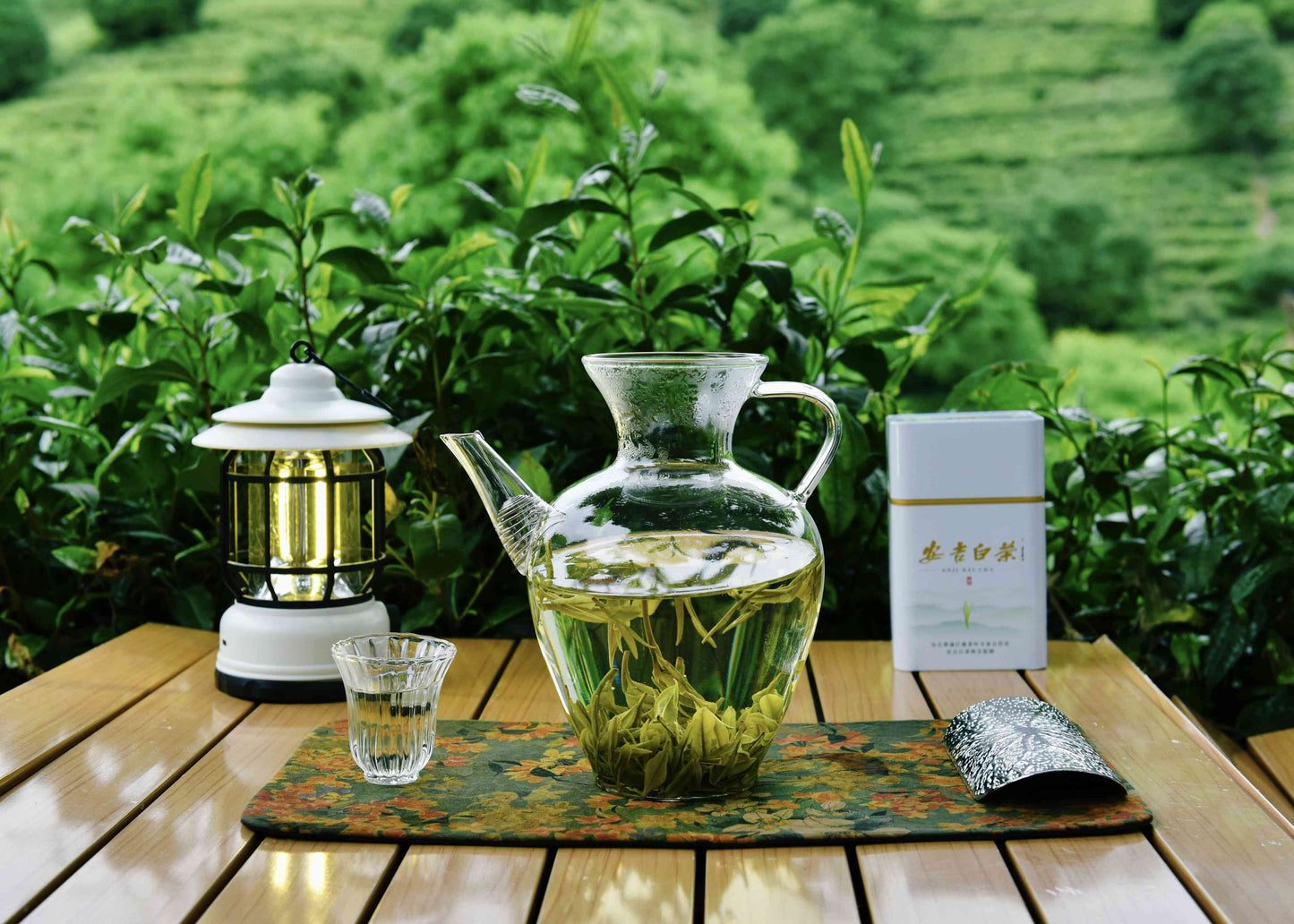 Anji White Tea|Green Tea