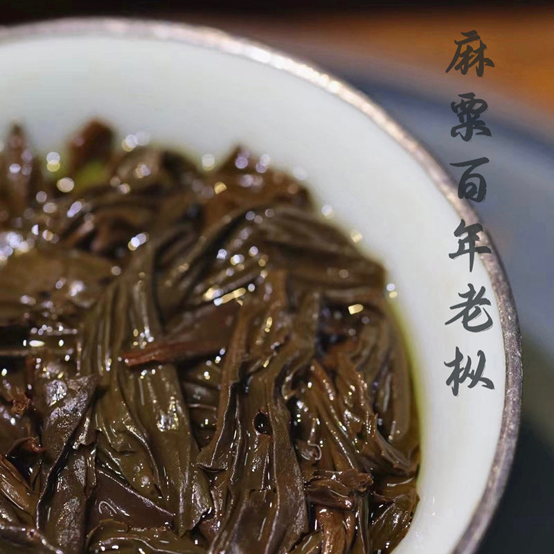Masu Centuries-old tea bushes|Black Tea