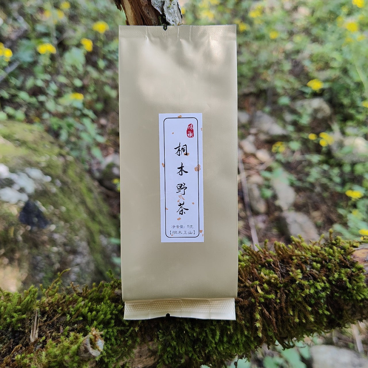 Tongmu Wild Tea｜Black Tea